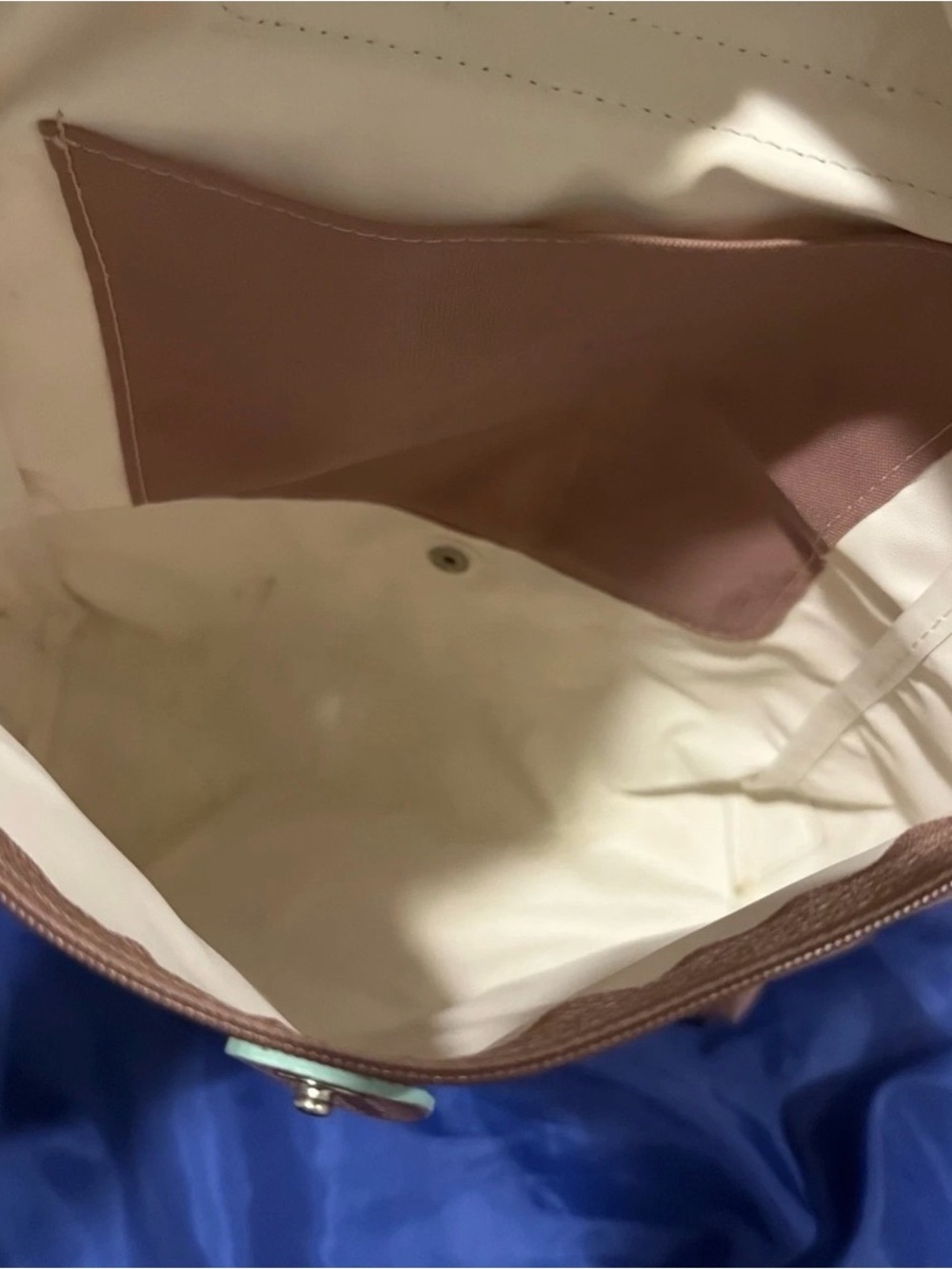 Longchamp Taupe Nylon Backpack with Mint Logo Accent - Picture 3 of 3